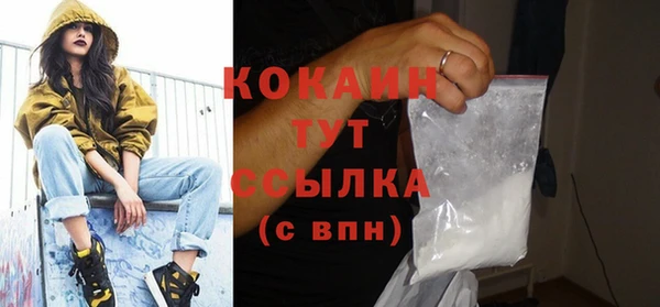 PSILOCYBIN Богородицк